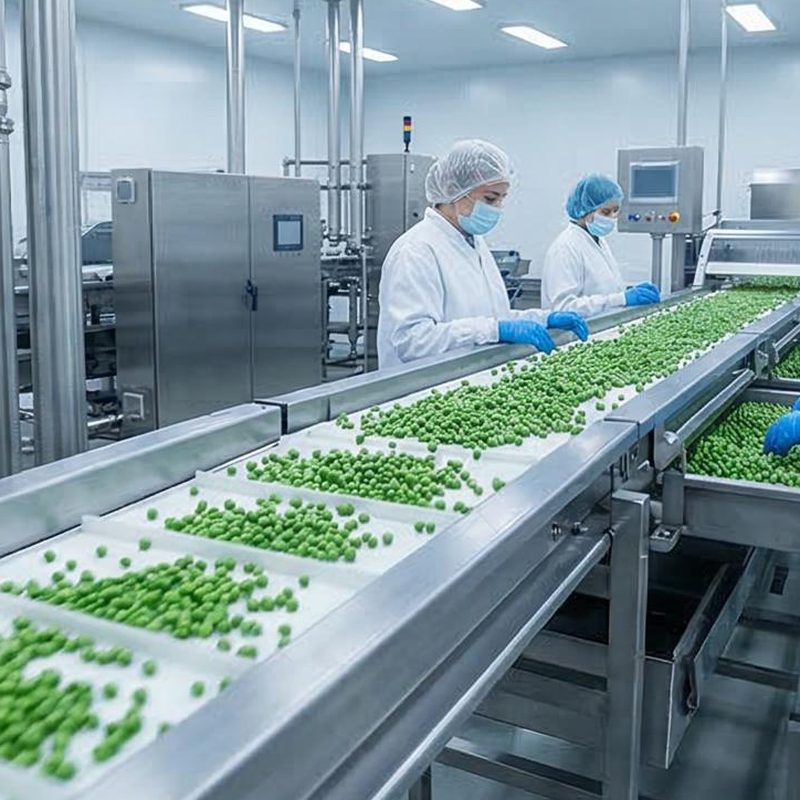 Food processing conveyor line