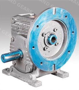 Motorised Worm Gearbox with integrated motor