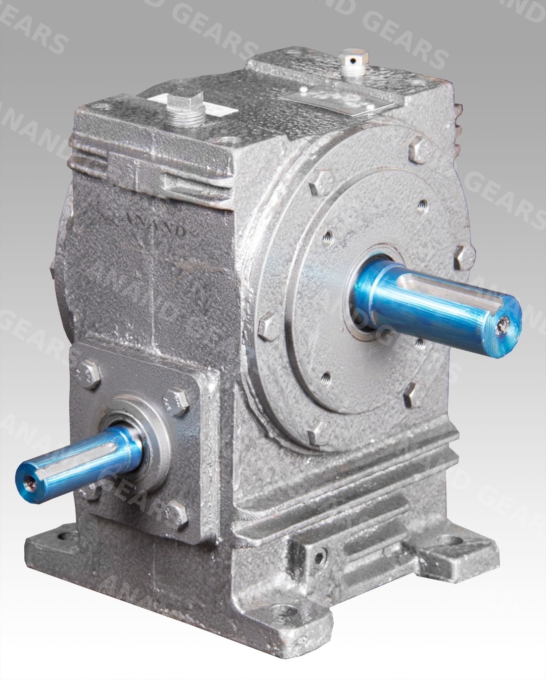 ANAND cast iron worm gearbox